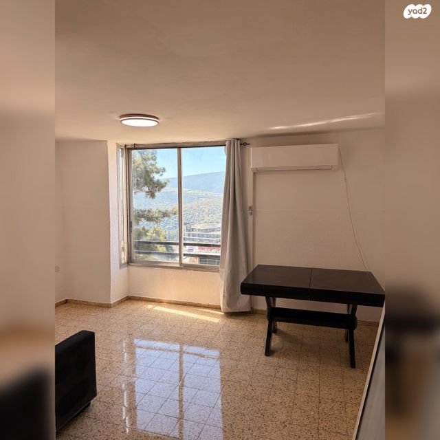 דוד אלעזר 42