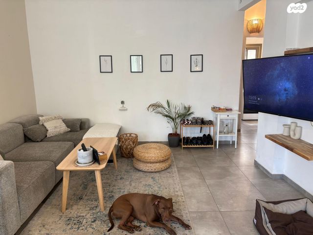 יהודה הלוי 137