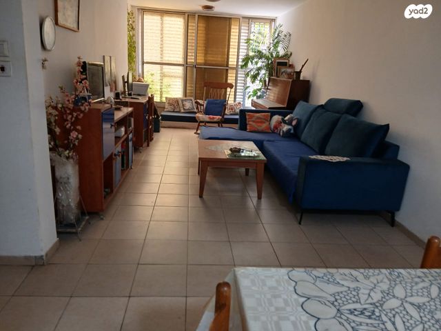 שאול הדדי 17