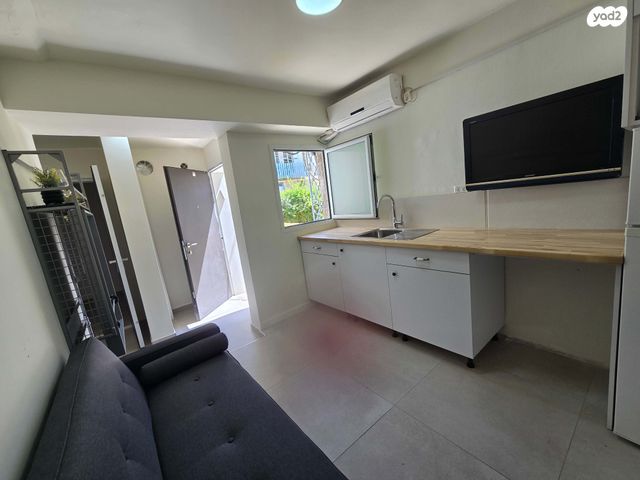 יצחק בן צבי 17