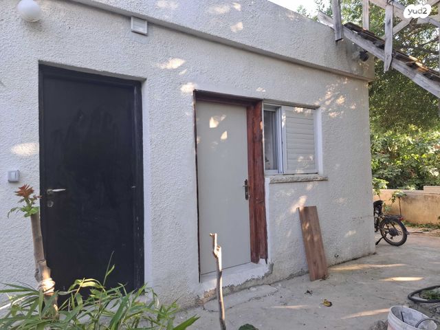 פריחת השקד 82