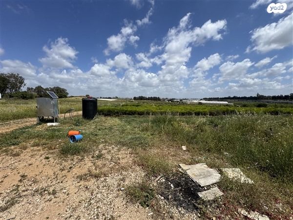 משק חקלאי/ נחלה