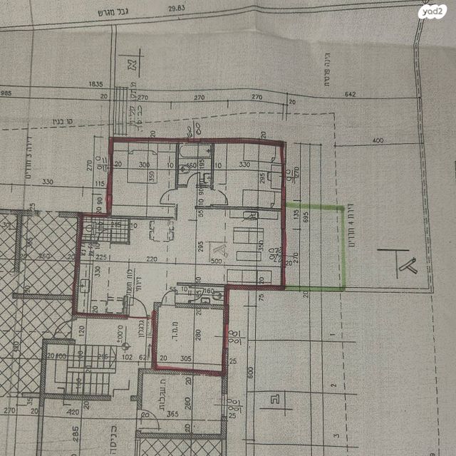 שמחה הולצברג 