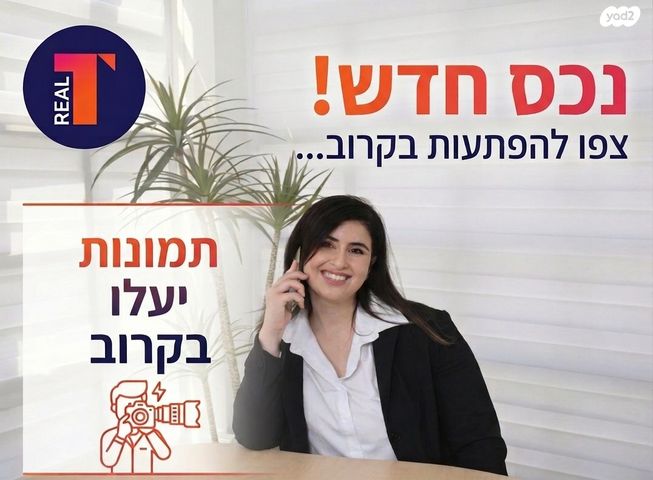 דירה, מחנה יהודה, פתח תקווה