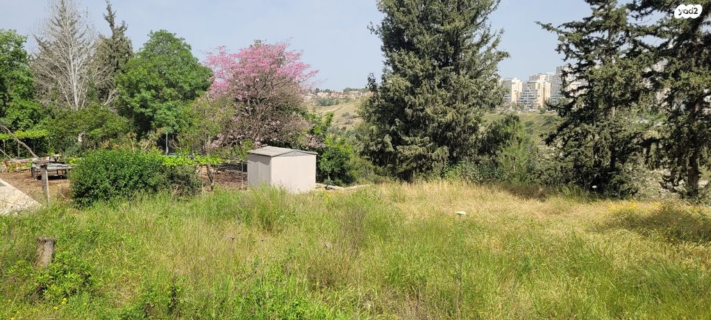 נחל מודיעין 