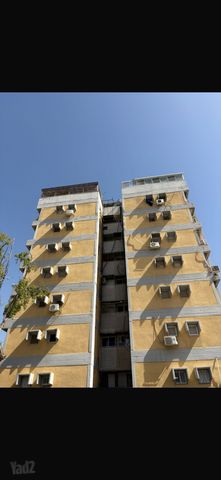 סיני 