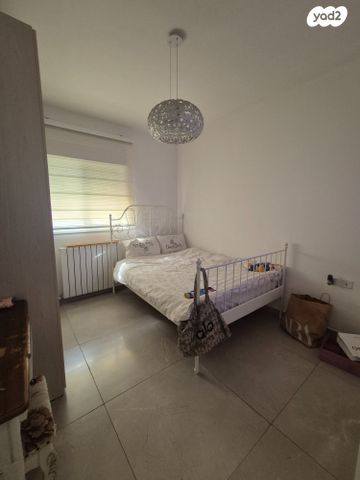 הרב דוד אלטשולר 