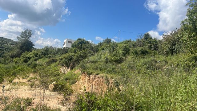מגרשים, אלח'רבה, דאלית אל כרמל, דאלית אל כרמל