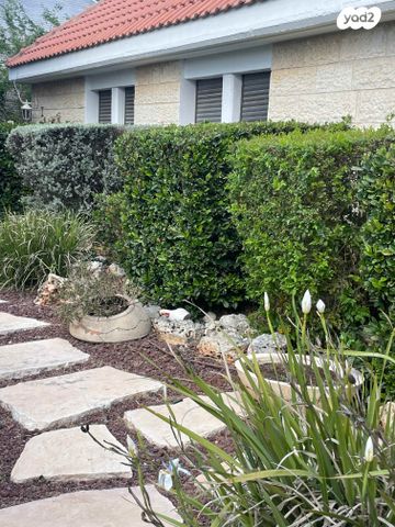 הוד הכרמל, דניה