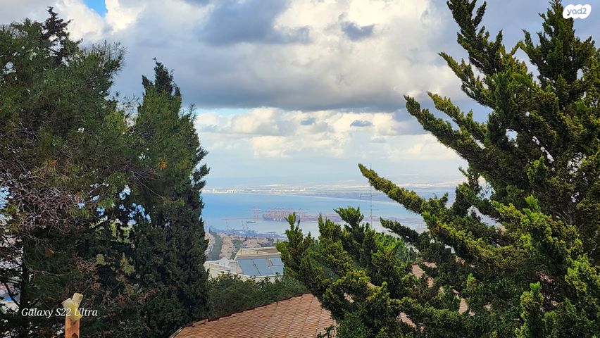 אלברט איינשטיין 