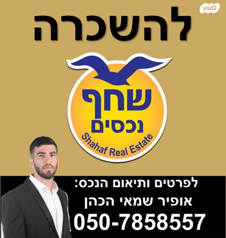 השכונה הוותיקה