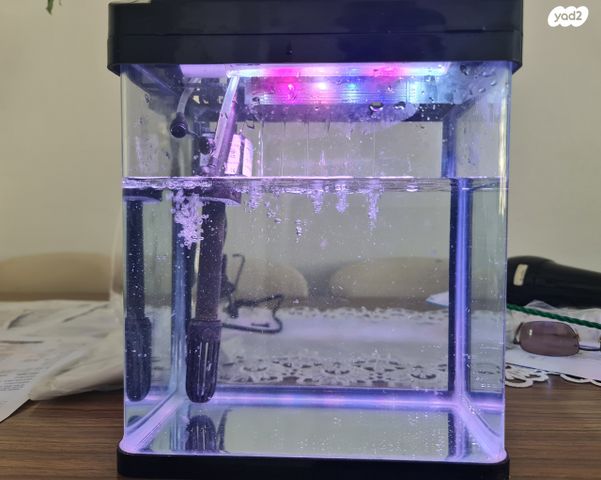 תמונת מודעה - חיות מחמד