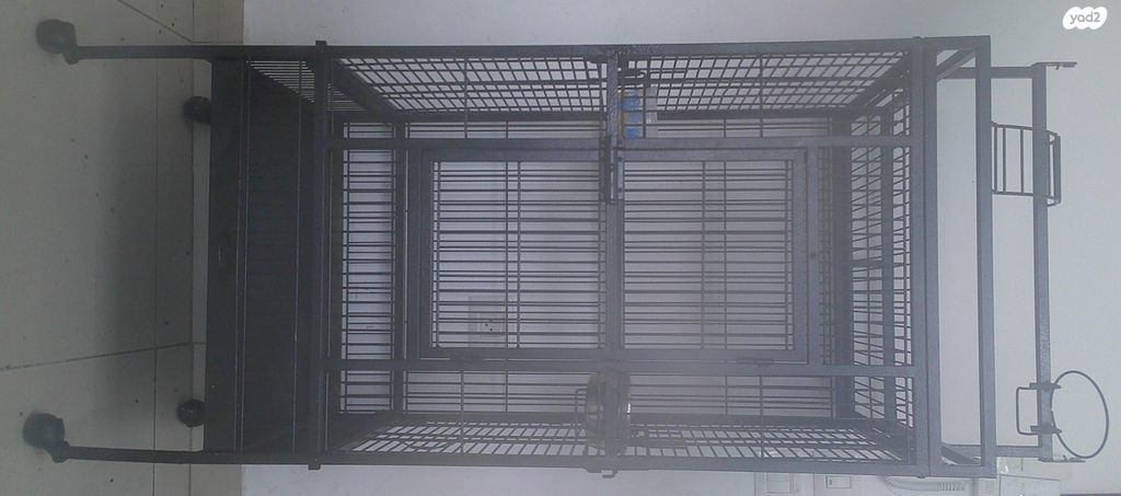 תמונת מודעה - חיות מחמד