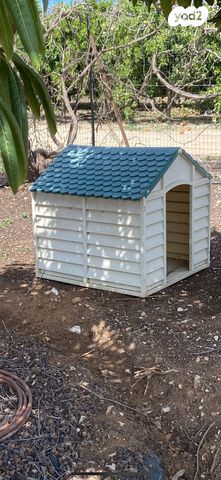 תמונת מודעה - חיות מחמד