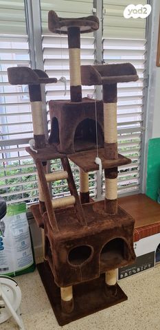 תמונת מודעה - חיות מחמד