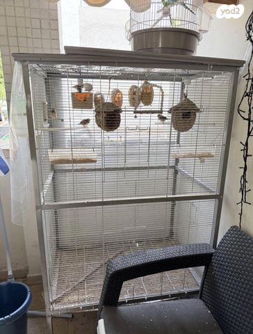 תמונת מודעה - חיות מחמד