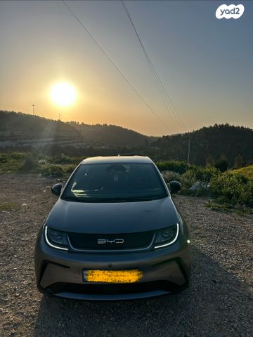 מודעת רכב בי.ווי.די דולפין