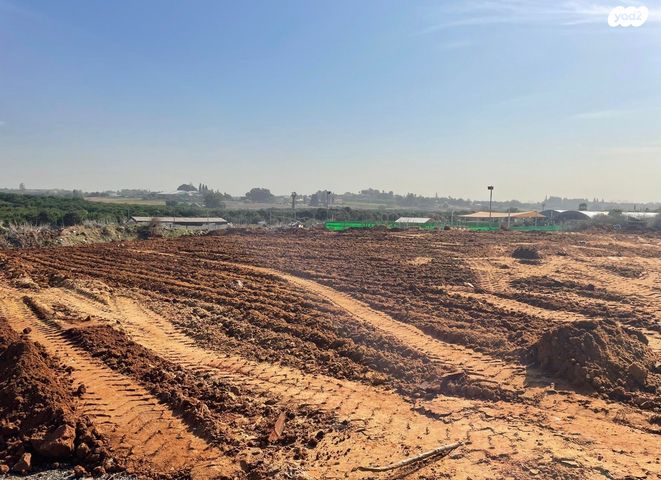 דרך הברושים 1