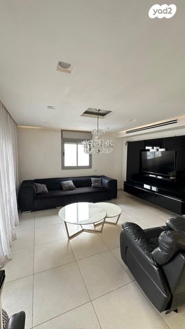 ליאו פיקרד 31