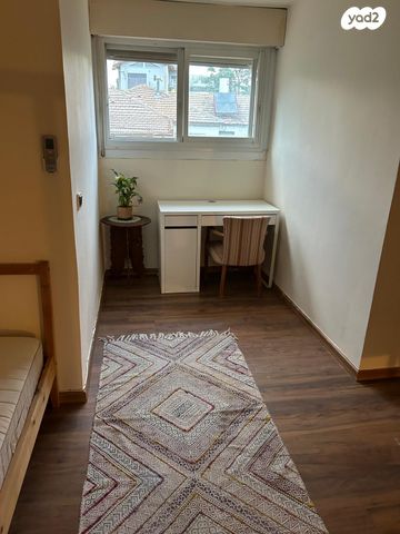 סמטת האחים פיש 29