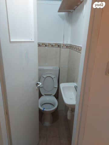 שלומציון המלכה 12