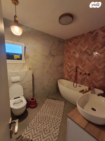 זאב טיומקין 3