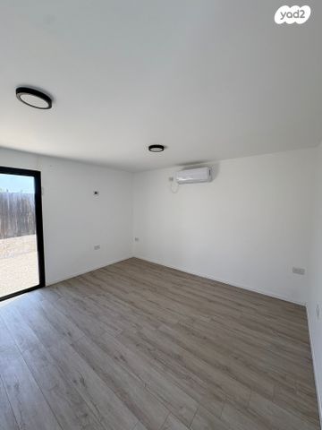 שלומציון המלכה 12