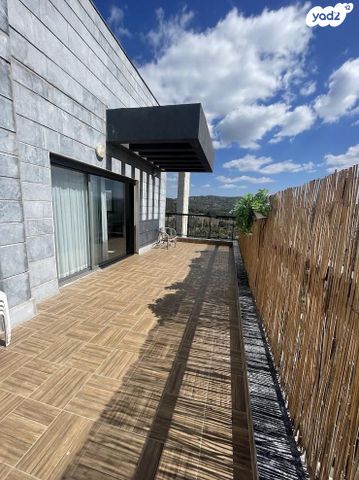 רועי קליין 5