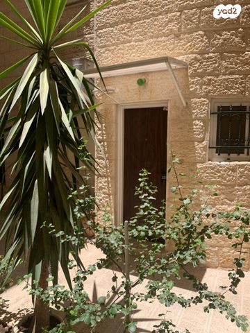 רפאל דה לה פרגולה 14