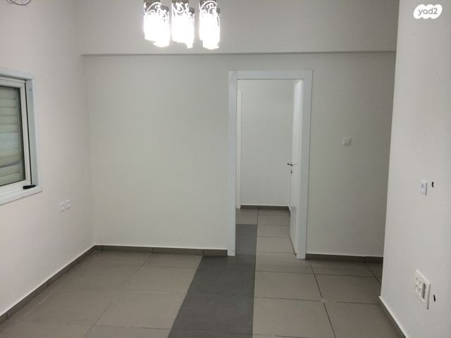 דוד וולפסון 3