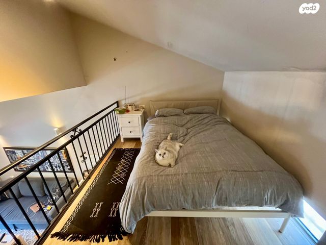 מחנה יהודה 8