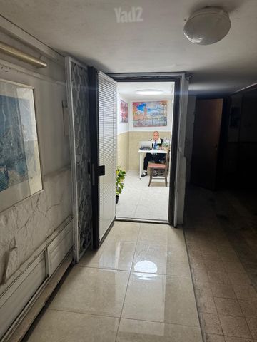 שמואל הנציב 11