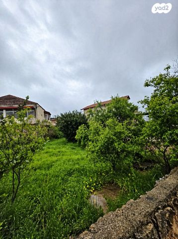 מעוז ציון א'