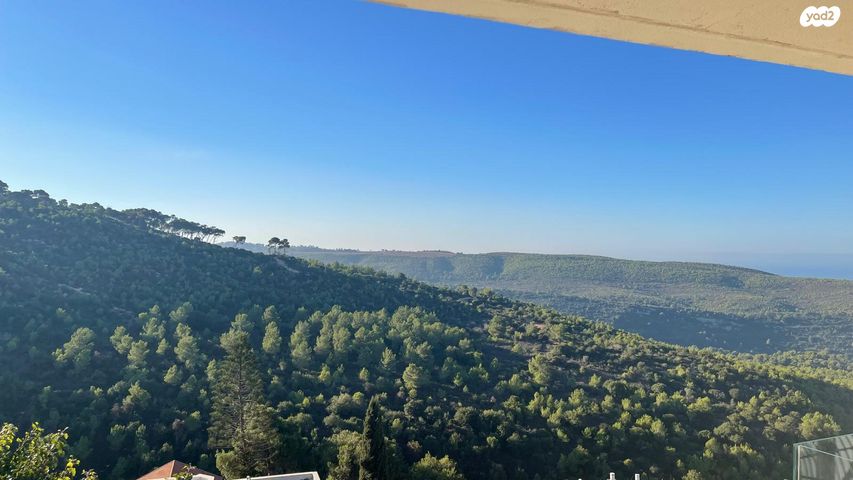 הוד הכרמל, דניה