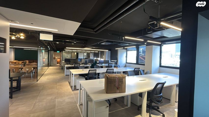 מונטיפיורי 