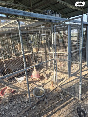 תמונת מודעה - חיות מחמד