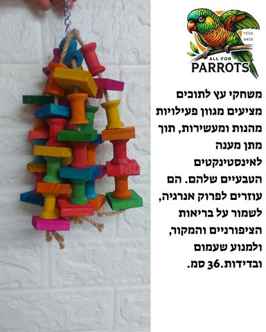 תמונת מודעה - חיות מחמד