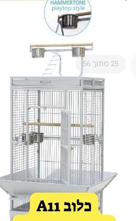 תמונת מודעה - חיות מחמד