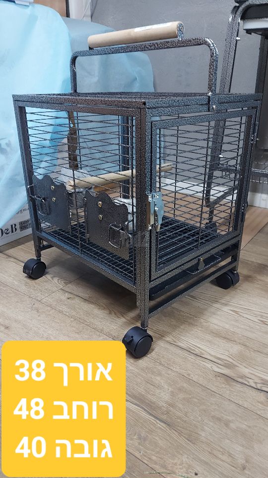 תמונת מודעה - חיות מחמד