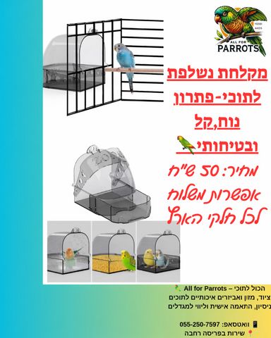 תמונת מודעה - חיות מחמד