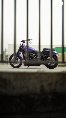 מודעת רכב הרלי דיווידסון סטריט בוב 107