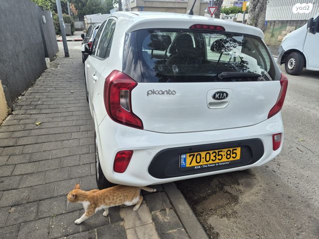 מודעת רכב קיה פיקנטו