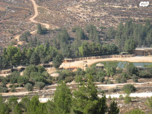 יורם רונן 30