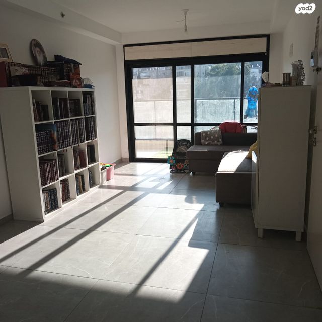 דוד צבי פנקס 3