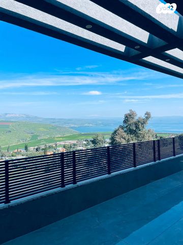 האקליפטוס 1