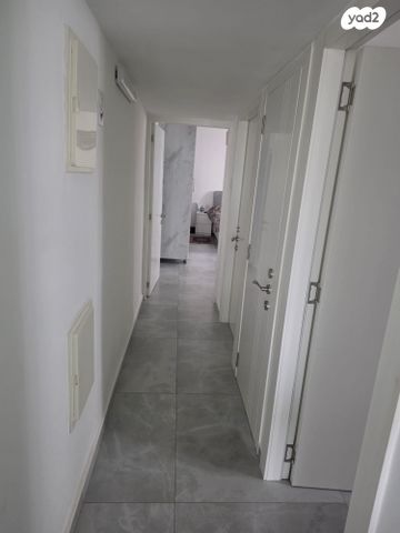 שלמה מולכו 6