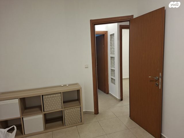 אלכסנדר ינאי 13