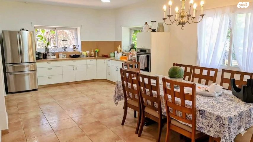 פריחת הסמדר 1