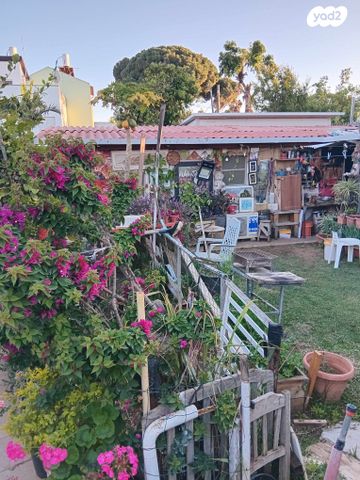 יפתח הגלעדי 16