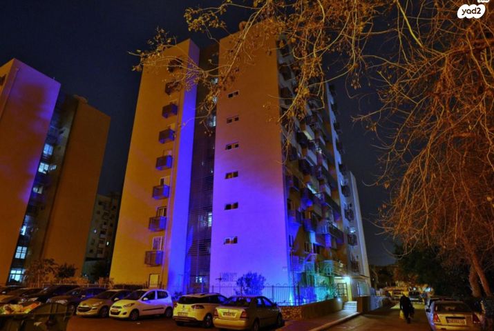 לוי אשכול 11